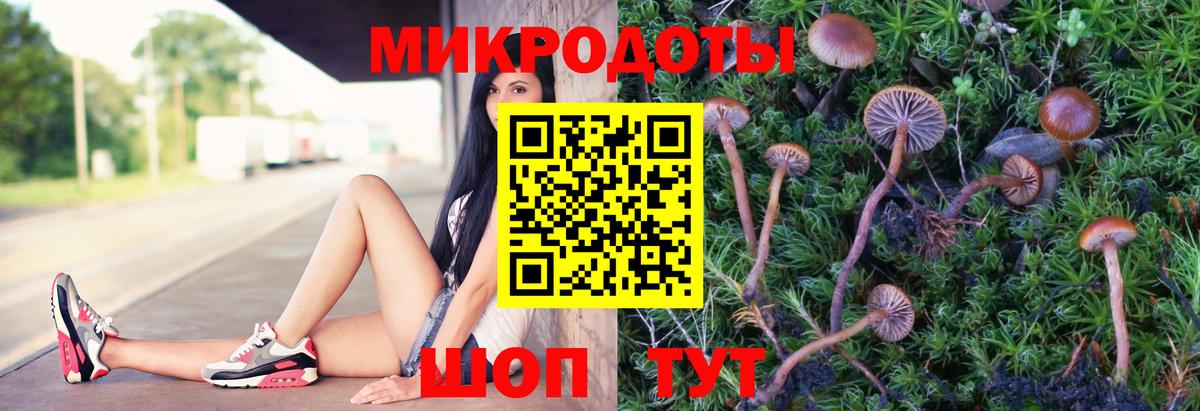 Мариинск  Псилоцибиновые грибы MAGIC MUSHROOMS  Вход с VPN  Псилоцибиновые грибы мицелий 